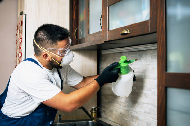 Best Termite Control Services  in Louisburg, KS