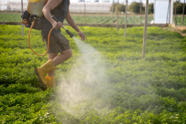 Best Emergency Pest Control  in Louisburg, KS