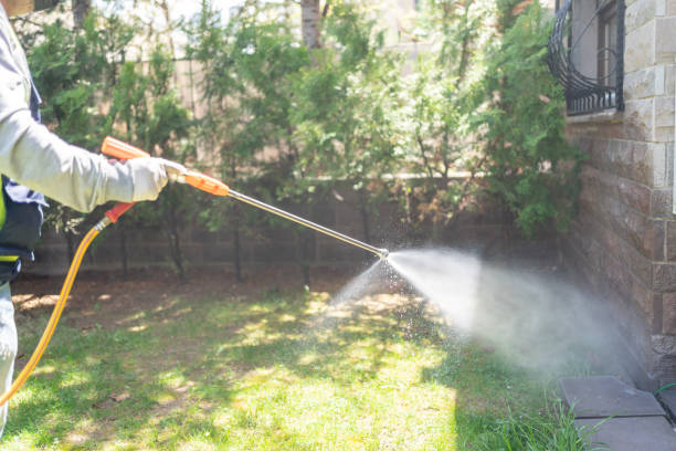 Best Affordable Pest Control Services  in Louisburg, KS