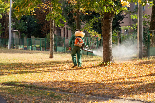 Insect Control in Louisburg, KS