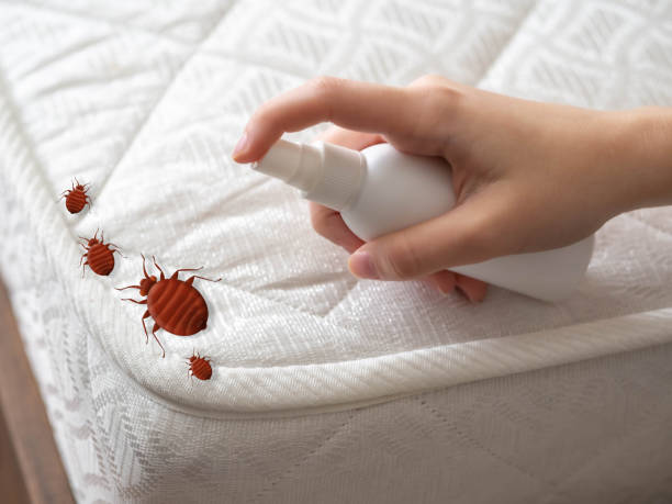 Pest Control Cost in Louisburg, KS
