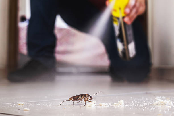 Reliable Louisburg, KS Pest Control Solutions