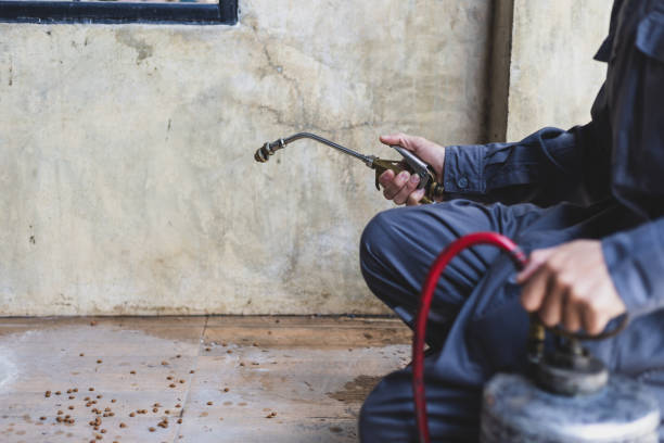 Best Best Pest Control Companies  in Louisburg, KS